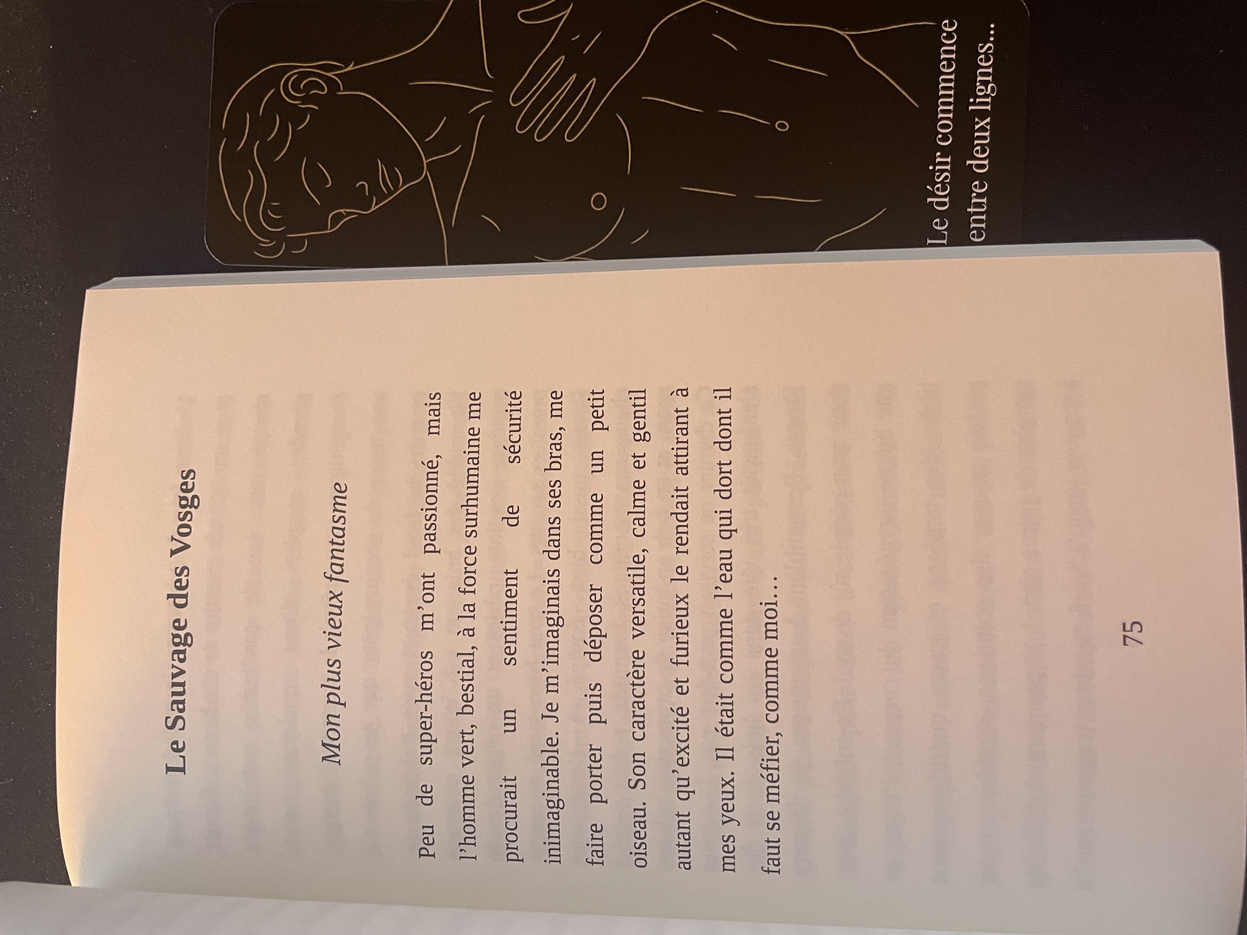 Sweat shirt exclusif "Mes POI" Poster sensuel dans un salon