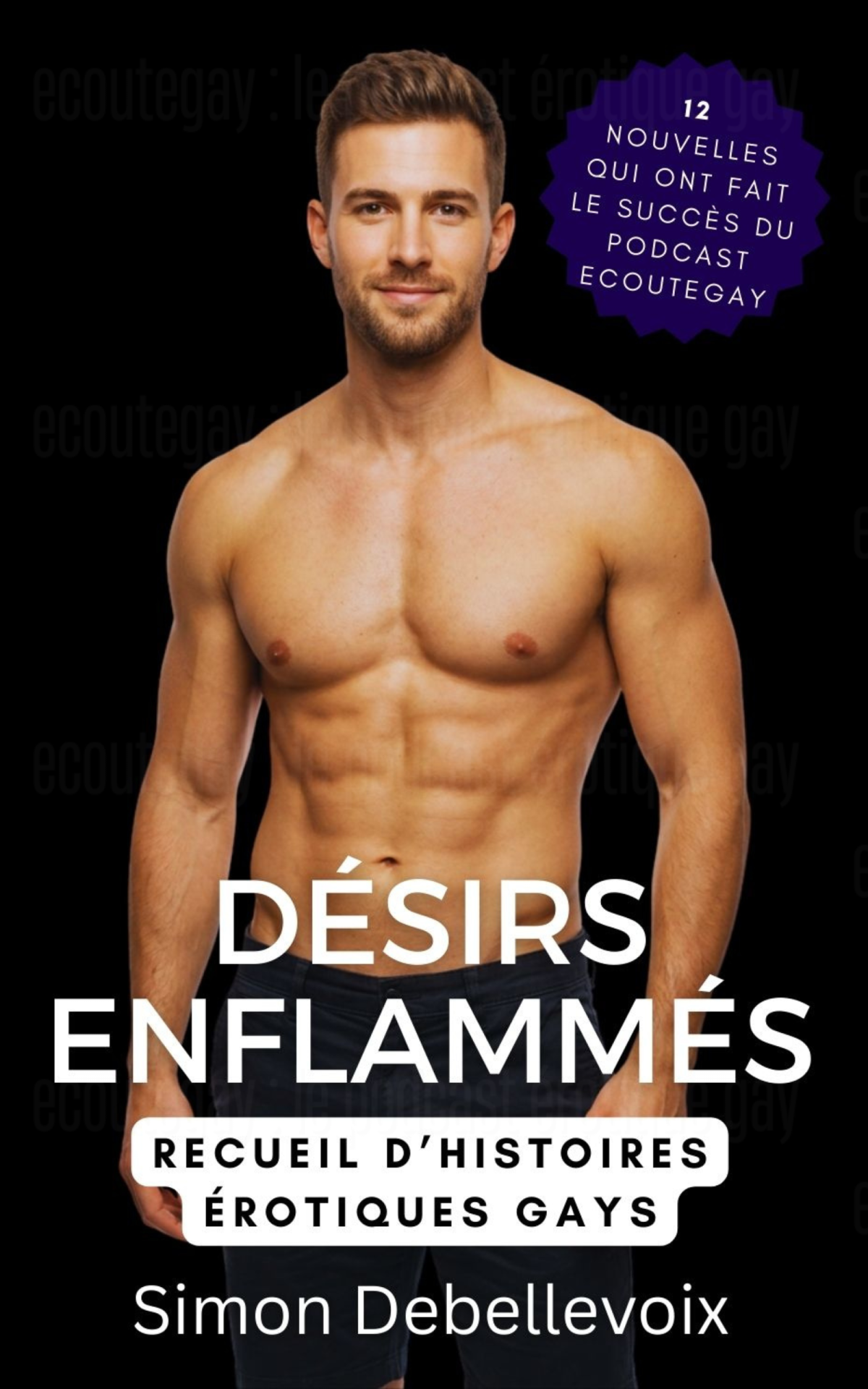 Poster sensuel dans un salon