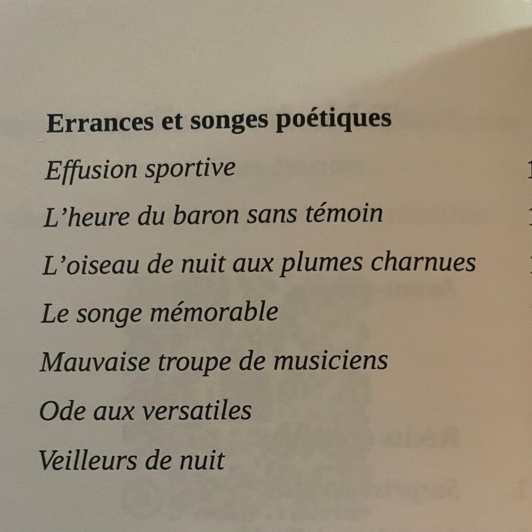 Table des matières Errances et songes poétiques Désirs Enflammés Simon Debellevoix ecoutegay L'heure du baron L'oiseau de nuit plumes charnues récit érotique gay.